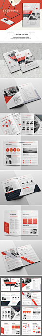 Company Profile Brochure 2017 Template InDesign INDD: 