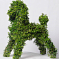 topiary mockups : topiary sculptures mockups natural vegetation
