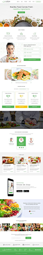 绿色食品类网页设计，很清新的感觉！