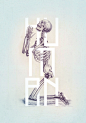 Bone Anatomy Illustrated by Josip Kelava