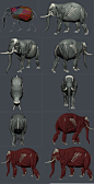 elephant anatomy - Google keresés: 