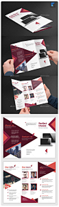 Corporate Trifold Brochure V38 - Corporate Brochures