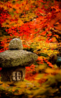 Garden of Enko-ji temple, Kyoto, Japan -- Copyright 2013 Jeffrey Friedl #美景#