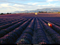 fields France - Wallpaper (#911528) / Wallbase.cc