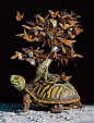 丽莎埃里克森的超现实主义插画：海龟系列 | Hyperrealistic Paintings by Lisa Ericson - AD518.com - 最设计