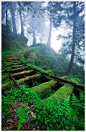 The wish for a clear day: an old logging railway on Jiancing Historic Trail, Taipingshan National Forest, Taiwan