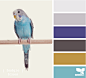 Design Seeds®: For All Who Love Color