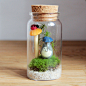 多洛洛的祈望 苔藓微景观 手工桌面生态瓶景植物 龙猫创意礼品