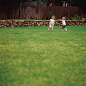 When to fertilize, water, mow, and deal with weeds and pests depends on where you live. Bookmark this lawn-care timeline for your zone. | Photo: Keller & Keller | thisoldhouse.com