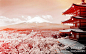 环球旅游记：富士山，美的别有韵味~