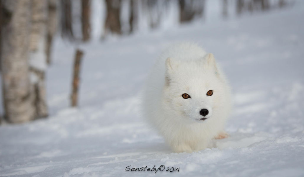 986c1b89cf69757783afb19bfef329afa90636891174f-eWG5MG