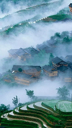 雨馨静雪采集到长亭外 古道边  芳草碧连天