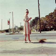 麻吉MAQI采集到威廉·埃格尔斯顿(William Eggleston）