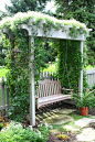 Lovely place to sit under what look like silver lace vine
花架下的秋千