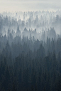 Yosemite morning - smoking valley. Wilderness Campsites.