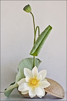 ikebana