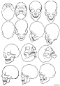 百家人体结构画法 之 头颅-头部动作
