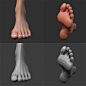 Foot&Hand modeling, Shin JeongHo : This is a Foot&hand modeling for my works of basebody.<br/>Thank you for seeing my works.<br/><a class="text-meta meta-link" rel="nofollow" href="https://www.artstation.com