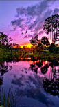 紫色的夕阳在Flickr上河湾公园，佛罗里达州朱庇特•照片：贾斯汀Kelefas