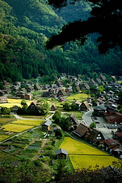 雾里江南采集到景；摄影