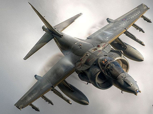 redjeep:

Harrier GR...