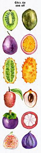 食物水果火龙果木瓜手绘水彩水彩包装餐饮PNG免扣设计元素  (3)