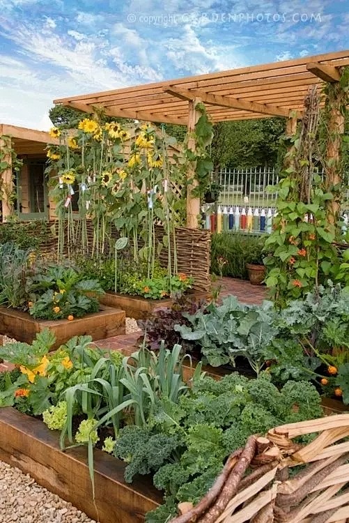 菜园、农场、小庭院菜园、阳台菜园-爱上微...