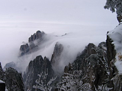 yangjinhai采集到惊心动魄-冬游黄山遇险