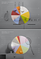 handmade pie charts showing colour statistics for paint company