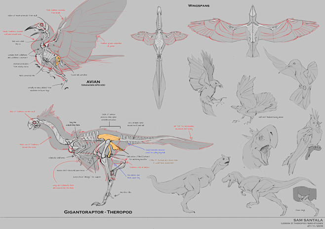 Avian/Theropod Studi...