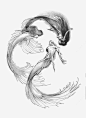 人鱼png免抠素材_新图网 https://ixintu.com 卡通人鱼 美人鱼 手绘人鱼 黑白人鱼 素描人鱼