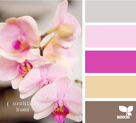 orchid hues