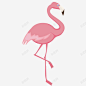 粉色丹顶鹤 设计图片 免费下载 页面网页 平面电商 创意素材