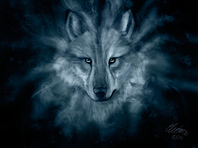 The Spirit of a Wolf...