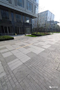 "自己的項目自己拍!" HASSELL景觀項目 杭州綠城未來PARK 全區