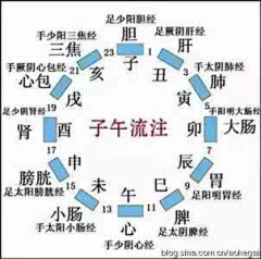 360人体健康云卫士采集到云卫士人体经络感知实验模型