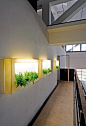 如果觉得在寸土寸金的现代住宅当中很难放下传统的绿色植物，把它们都做到墙面上去或许是个不错的方式，设计师 Fabio Bortolani 就这么做了，类似相框的小方块当中种上绿植，上面加上 LED 灯，灯光既帮助绿色植物成长，同时也起到了环境照明的效果，也让整面墙有了景观的味道，是不是一举多得呢。