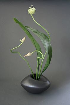 Ikebana using curved...
