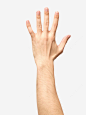 伸出五指手臂示意图素材png免抠素材_新图网 https://ixintu.com 手毛 体毛 指示 表示 手指 肢体 上肢 手臂 手掌 粗壮 意思 伸手 五指 手臂示意图