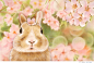 治愈系的兔子水彩赏，来自：Akiko Shirato