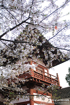 ♀﹂妳到天涯ジ☆采集到旅行、风景