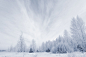 冬日雪景 图片素材下载-自然风景-自然景观-图片素材 - 集图网 www.jitu5.com
