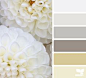 ...we love these flora tones from @designseeds. perfect #weddingcolortheme for a #paroswedding, and perfect for a #mykonoswedding too.