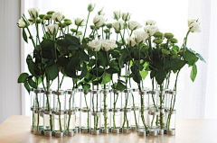 竹子luvian采集到花器·创意·设计