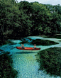 Cypress Spring, Florida. Water is so clear it looks like the boat is floating in the air.