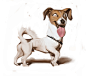 Jack russel.! , Stefan Hansson : Dog caricature Jack russel.!