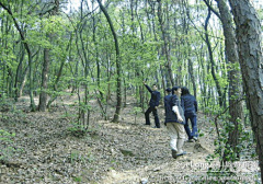 Fpeisheng采集到多图_4月8号到岳麓山一