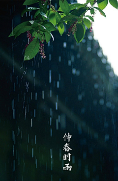 goblin123dan采集到时·雨