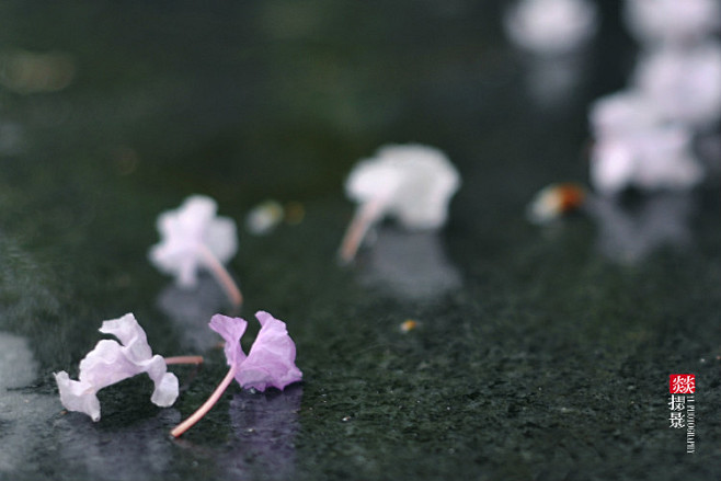 安静坐在月色下，听雨楼前，雨丝轻落。
庭...