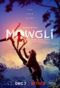 森林之子毛克利 Mowgli 海报